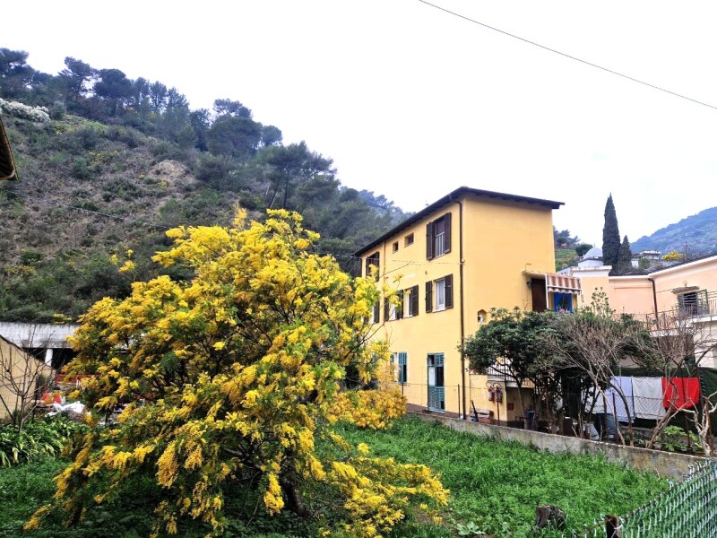 Appartamento a Soldano 1