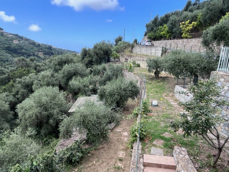 Unifamiliare Casa singola a Vallebona 13