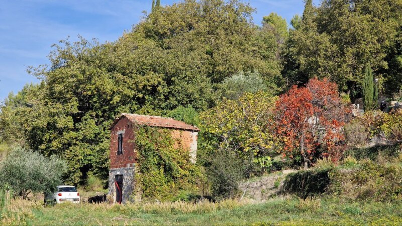 Rustico-Casolare-Cascina a Vallebona 17