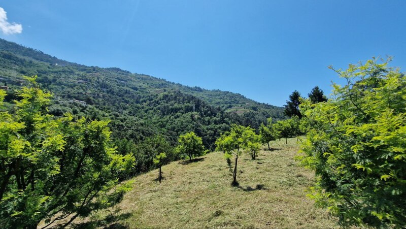 Rustico con terreno pianeggiante in posizione dominante a Soldano – a pochi minuti dal mare. 17