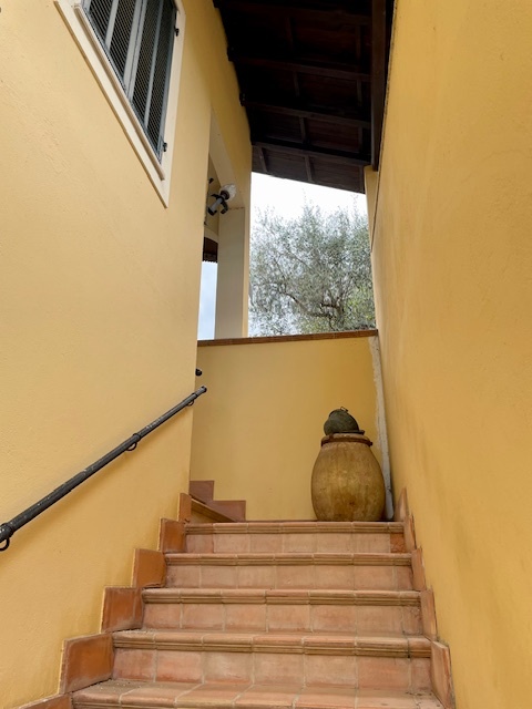 Unifamiliare Villa a Ventimiglia 17