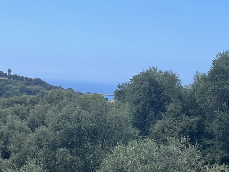 Unifamiliare Casa singola a Vallebona 1