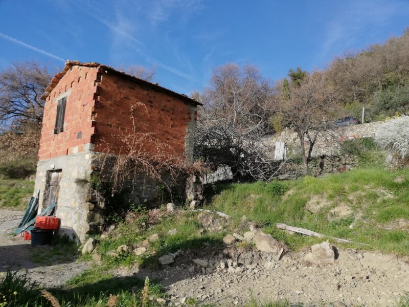 Rustico-Casolare-Cascina a Vallebona 25
