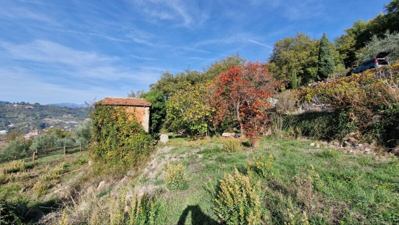 Rustico-Casolare-Cascina a Vallebona 23
