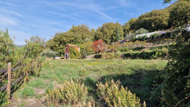 Rustico-Casolare-Cascina a Vallebona 16