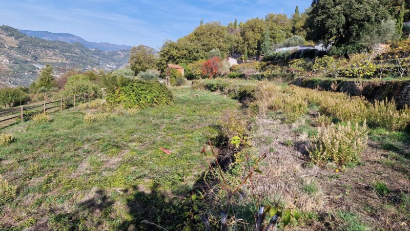 Rustico-Casolare-Cascina a Vallebona 19