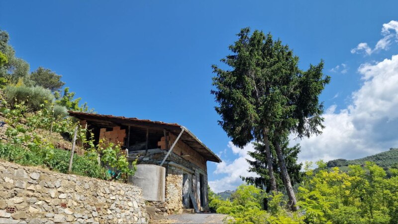 Rustico con terreno pianeggiante in posizione dominante a Soldano – a pochi minuti dal mare. 13