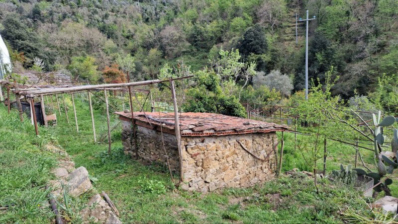 VILLA con PISCINA - AGRITURISMO 36