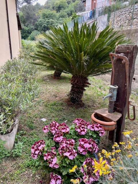 Unifamiliare Villa a Ventimiglia 19