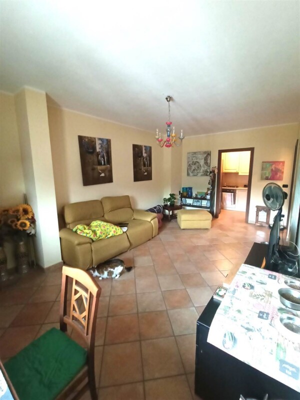 Unifamiliare Casa singola a Camporosso 21