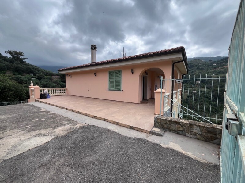 Unifamiliare Casa singola a Vallebona 3