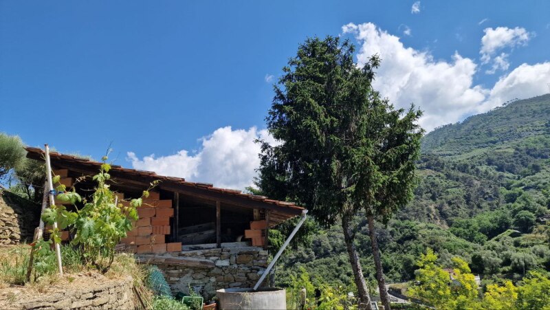Rustico con terreno pianeggiante in posizione dominante a Soldano – a pochi minuti dal mare. 12