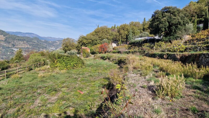 Rustico-Casolare-Cascina a Vallebona 18