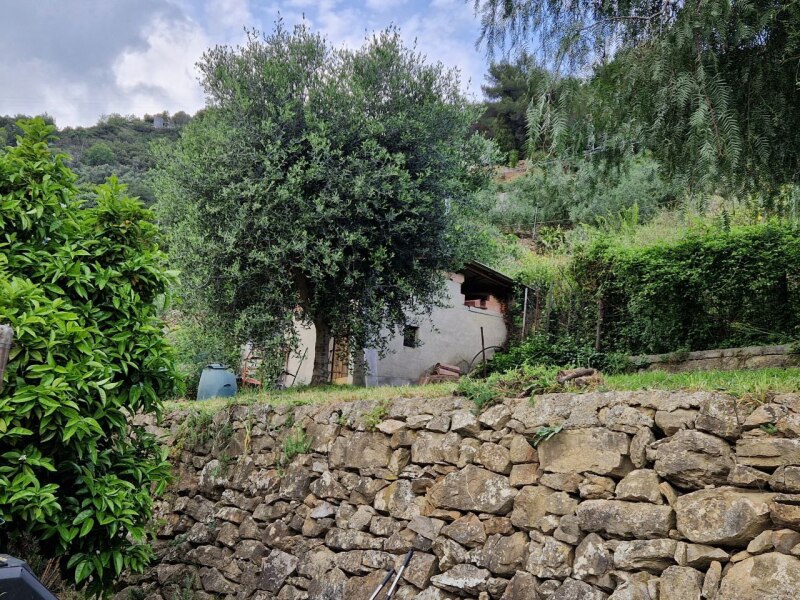 Unifamiliare Villa a Soldano 31