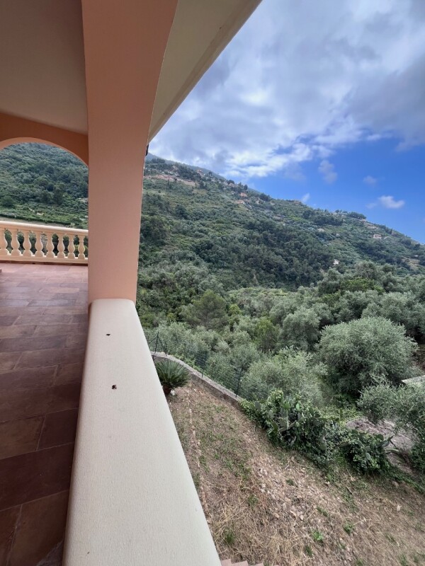 Unifamiliare Casa singola a Vallebona 4
