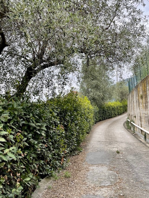 Unifamiliare Villa a Ventimiglia 12