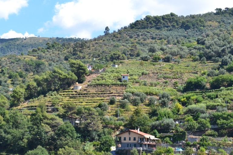 Terreno a Soldano 9