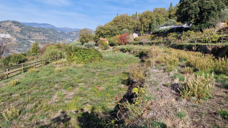 Rustico-Casolare-Cascina a Vallebona 20