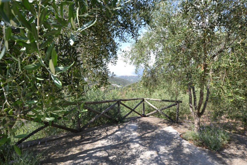 Unifamiliare Villa a Soldano 32