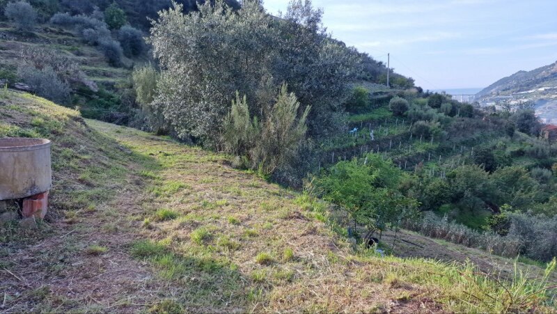 Terreno a Soldano 14