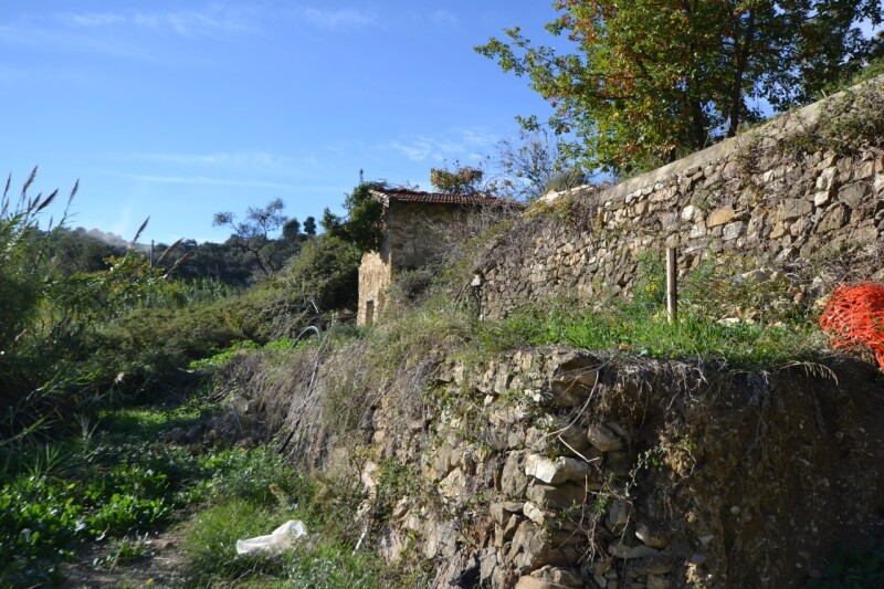 Unifamiliare Casa singola a Vallebona 6