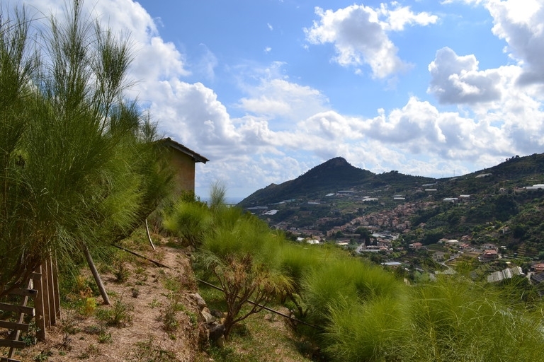Terreno a Soldano 8