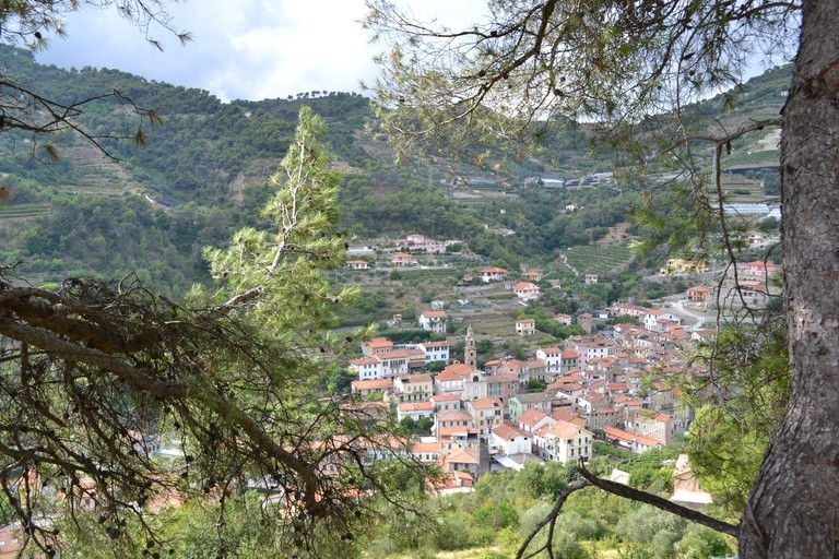 Terreno a Soldano 7
